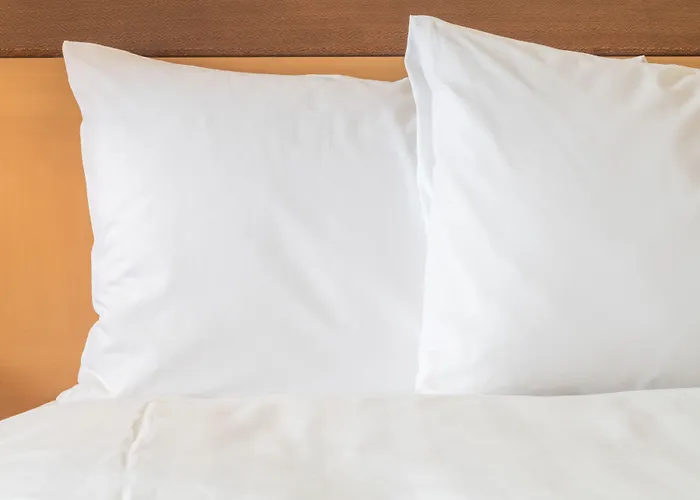 - South, An Ihg